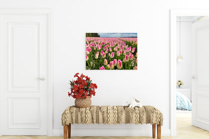 Heritage in Full Bloom