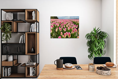 Heritage in Full Bloom