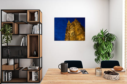 The Luminous Rose’s Secrets