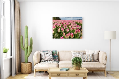 Heritage in Full Bloom