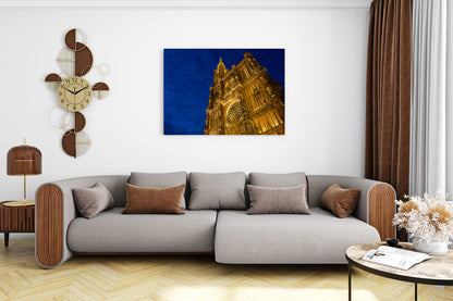 The Luminous Rose’s Secrets