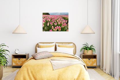 Heritage in Full Bloom