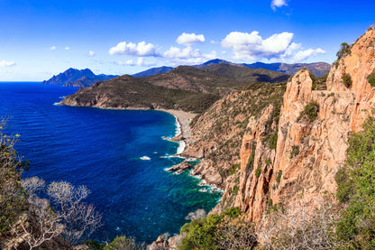 Turquoise of the Sea, Red of Love